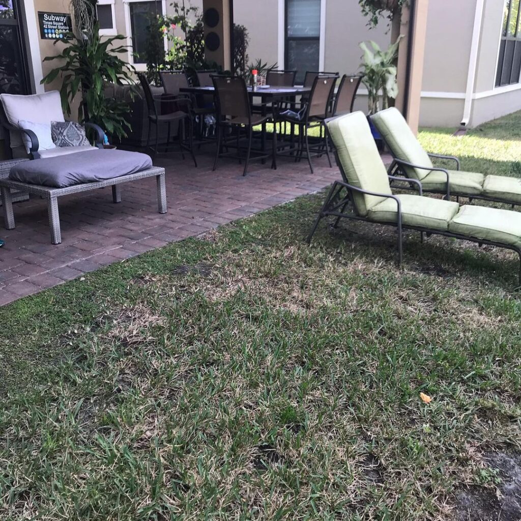 , Find your Zen Paradise ~ South Florida, Natural Wonders Landscaping