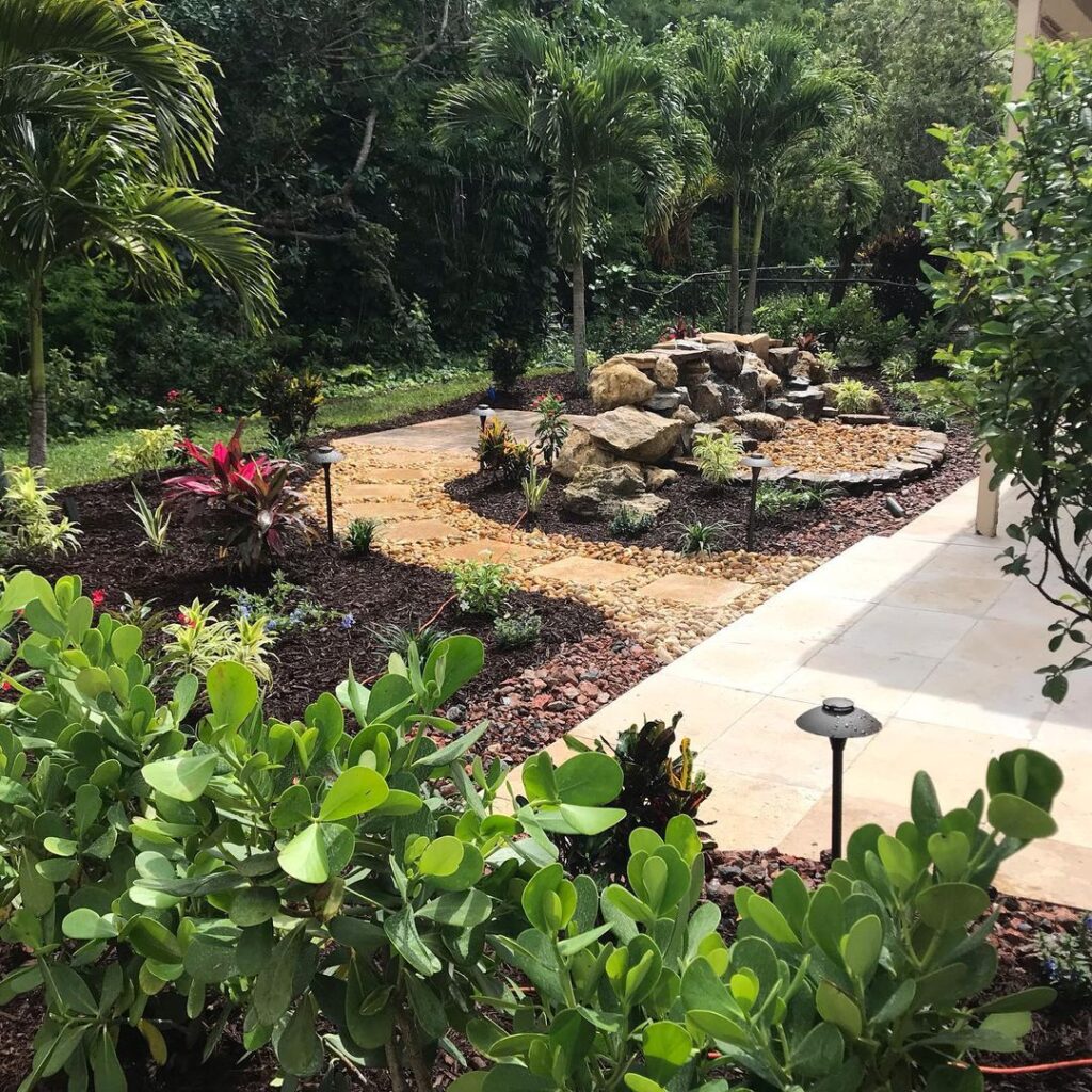 , Back Yard Rescue, Natural Wonders Landscaping