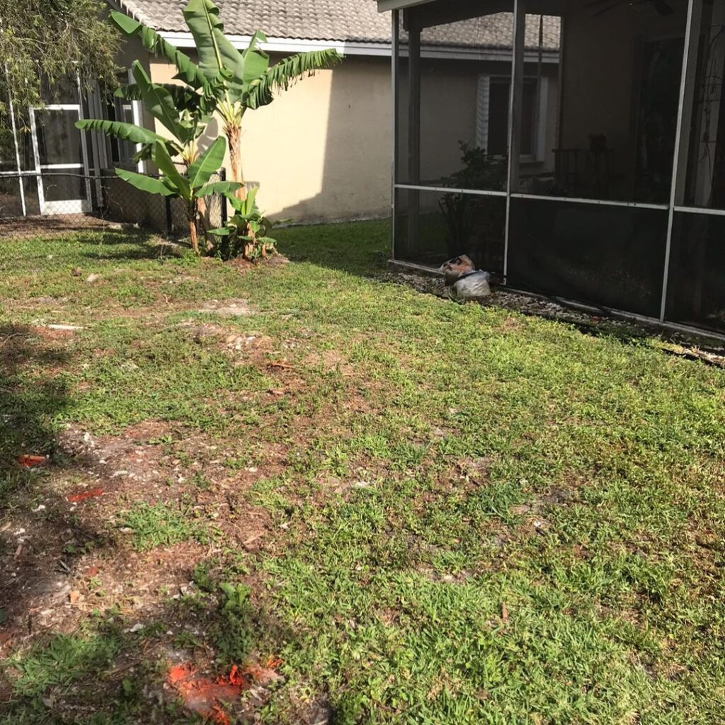 , Back Yard Rescue, Natural Wonders Landscaping