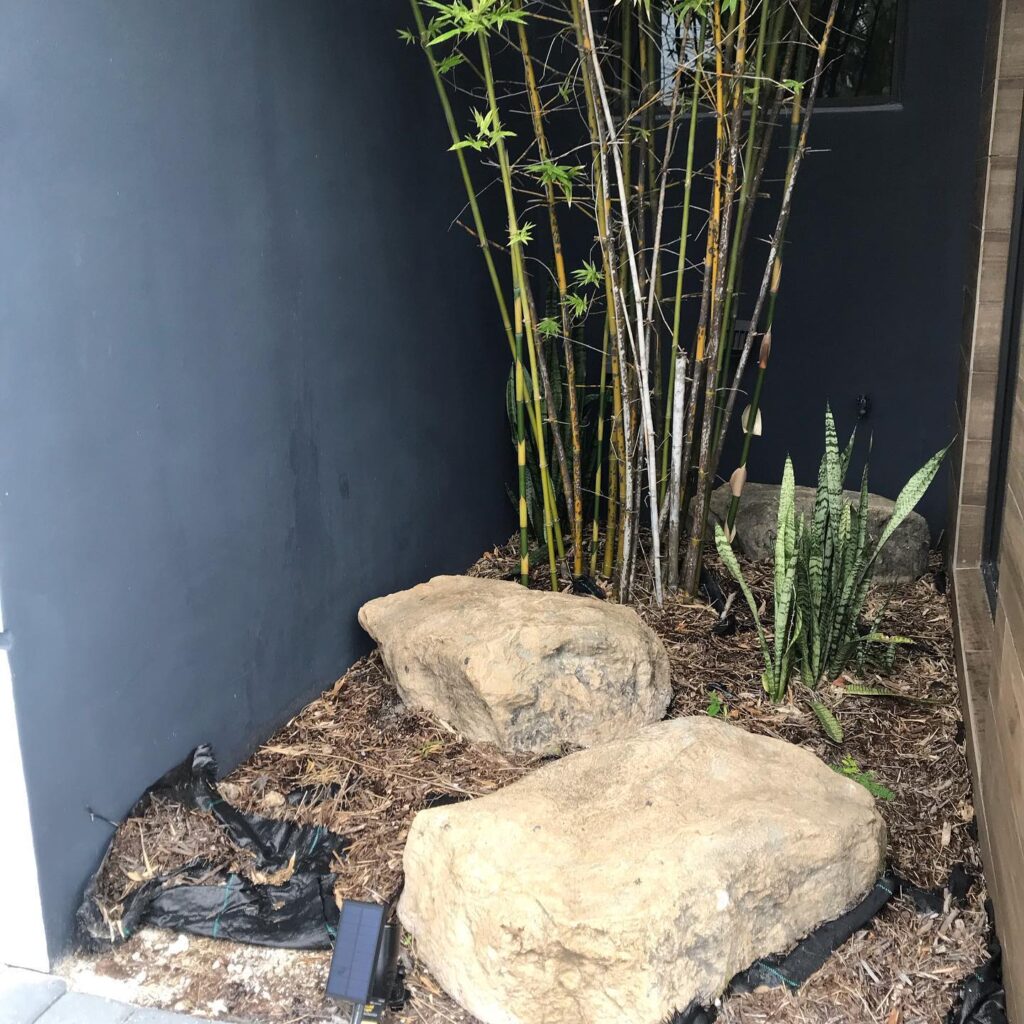 , Before and After Water Feature South Florida, Natural Wonders Landscaping
