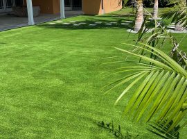 Low-Maintenance Backyard Boca Raton, Florida